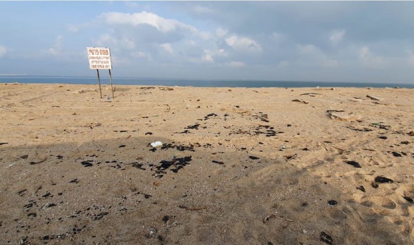 זפת בחוף של חנ"י. צילום: דרור אריאלי, המשרד להגנת הסביבה