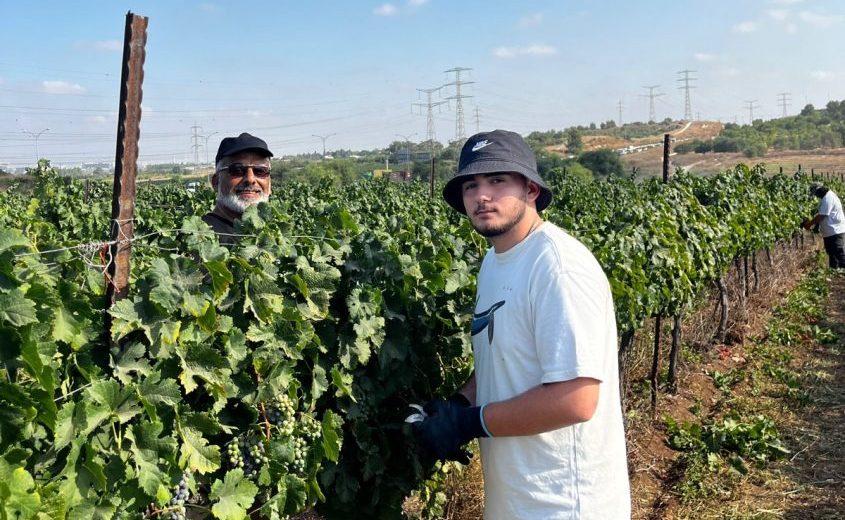 תלמידי אמית י' אשדוד במחנה קיץ של חקלאות וציונות