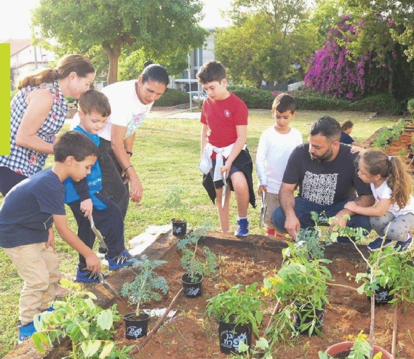 גינת הפרפרים. צילום: עיריית אשדוד