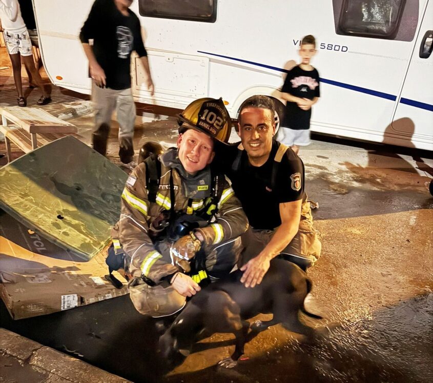 כלב שחולץ משריפה. צילום: תיעוד מבצעי כבאות והצלה