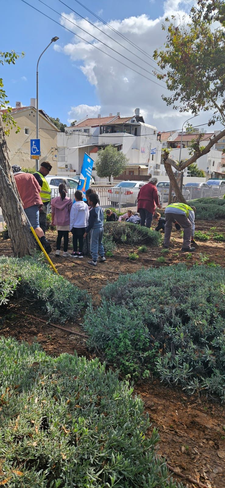 פעילות נטיעות קהילתית ברובע ב'